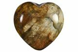 Polished, Triassic Petrified Wood Heart - Madagascar #115522-1